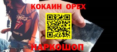 крисы Моздок