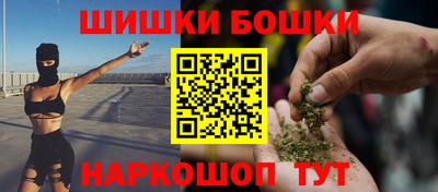 крисы Моздок
