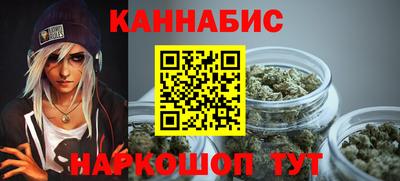 крисы Моздок