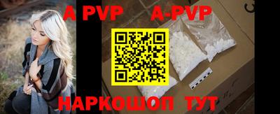 крисы Моздок