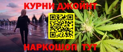 крисы Моздок