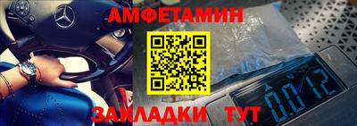 крисы Моздок