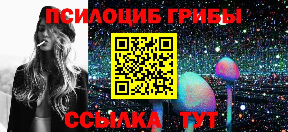 Псилоцибиновые грибы Cubensis Арзамас
